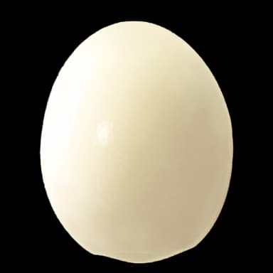 Hard-boiled egg - Food in Tomodachi Life