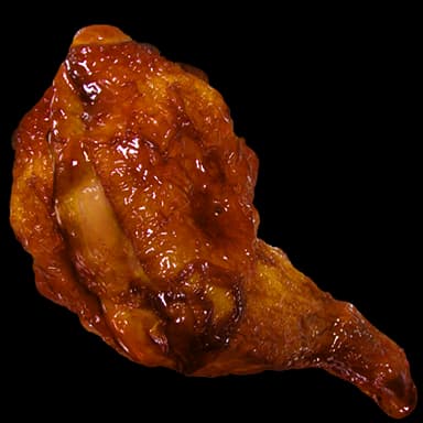 Drumstick - Food in Tomodachi Life