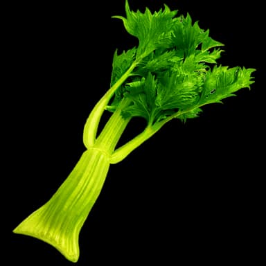 Celery - Food in Tomodachi Life