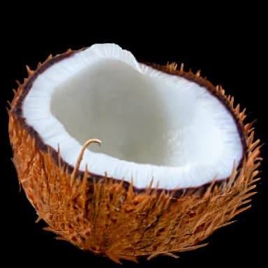 Coconut - Dessert in Tomodachi Life