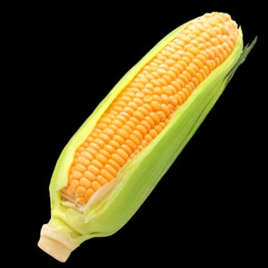 Corn on the cob - Food in Tomodachi Life