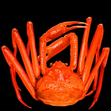 Crab - Food in Tomodachi Life