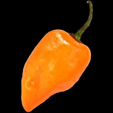 Habanero - Food in Tomodachi Life