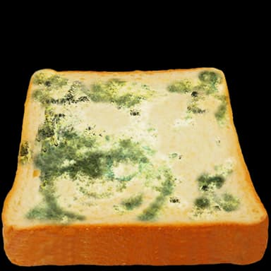 Moldy bread - Food in Tomodachi Life