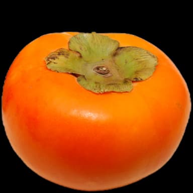 Persimmon - Dessert in Tomodachi Life