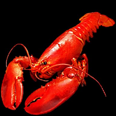 Lobster - Food in Tomodachi Life