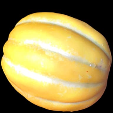 Oriental melon - Dessert in Tomodachi Life