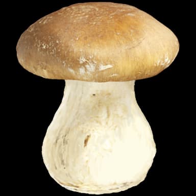 Mushroom - Food in Tomodachi Life