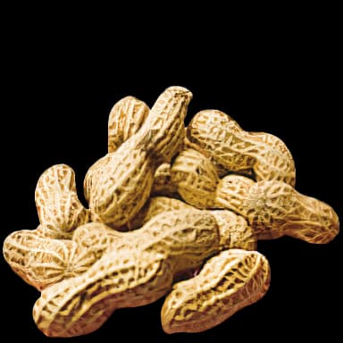 Peanuts - Dessert in Tomodachi Life