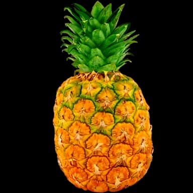Pineapple - Dessert in Tomodachi Life