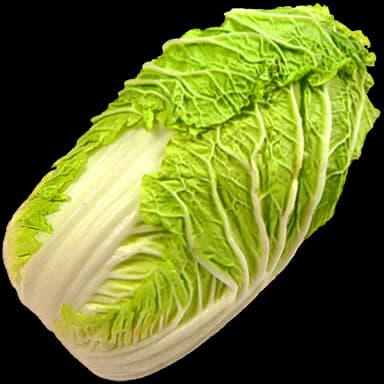 Napa cabbage - Food in Tomodachi Life