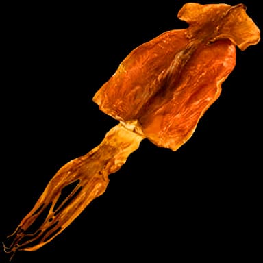 Dried squid - Food in Tomodachi Life