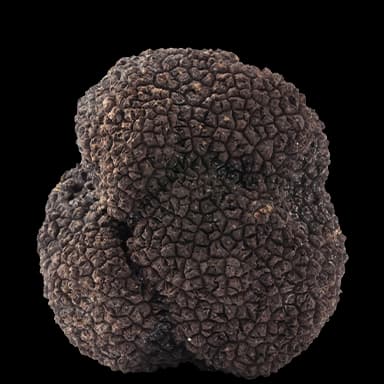 Truffle mushroom - Food in Tomodachi Life